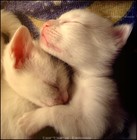 Picture for song 'How To Deal' by artist 'Bao Le Official Page'