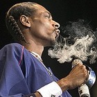 Picture for song 'Medication SOLD' by artist 'BeatzLowkey'