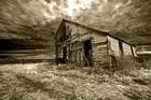 Picture for song 'Wasteland' by artist 'BeeZee'