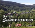 Picture for song 'Benny - Silberbach (German Version)' by artist 'Benny Music - Project Sounds'