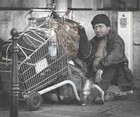 Picture for song 'Walking Wounded' by artist 'Beth Williams'