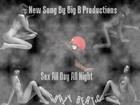Picture for song 'SEX ALL DAY ALL NIGHT' by artist 'BIG B PRODUCTIONS 01'