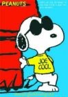 Picture for song 'Be Cool' by artist 'Big Cat Daddy'