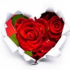 Picture for song 'Love wont Go' by artist 'bigcoles247'