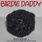 Picture for song 'Rolf-Peter's Forvirrade Konspirationsteorier' by artist 'Birdie Daddy'