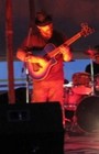 Picture for song 'I'm Old' by artist 'Blue Sea Turtles'