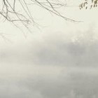 Picture for song 'Early morning mist upon the river' by artist 'Brainiac Fingers'