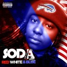 Picture for song 'So Cashiered' by artist 'Buffalo Soda'