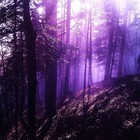 Picture for song '" O m e n s " | DL' by artist 'BUY5BEATSFOR20DOLLARS'