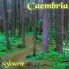 Picture for song 'Lucid' by artist 'CAEMBRIA'