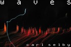 Picture for song 'w a v e s' by artist 'carl selby'