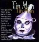 Picture for song 'Tin Man (Featuring Ray Sharp)' by artist 'Casia'