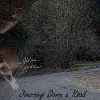Picture for song 'Amazing Grace Trad. (acappella)' by artist 'Cassie Lynne'