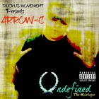 Picture for song 'Never Know - Arrow-C Ft. Chaotic & Illiano' by artist 'Chaotic Ruckus'