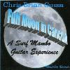 Picture for song 'Welcome To Paradise' by artist 'Chris Brian Gussa'