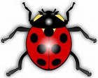 Picture for song 'Mr. Lady Bug' by artist 'CHRIS HATLEY'
