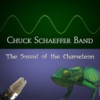 Picture for song 'the sound of the chameleon' by artist 'Chuck Schaeffer Band'