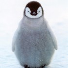 Picture for song 'A GOOD DAY (Free D/L)' by artist 'CinematicHype'