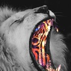 Picture for song 'Beat THe Afro 105bpm (Afrobeat)' by artist 'Cliff Da Spliff Productions'