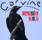 Picture for song 'The Disaster' by artist 'COCR Music'