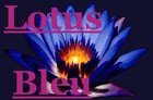 Picture for song 'Lotus Bleu' by artist 'Cosmoogony'