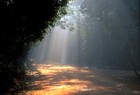 Picture for song 'Dreaming' by artist 'C-Project'