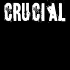 Picture for song 'Party Hard' by artist 'Crucial On Da Beatz'