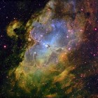 Picture for song 'Star**' by artist 'Crystal Trees'