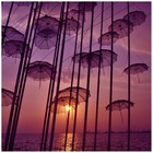 Picture for song 'SunShower | *Pop/RnB* Guitar | NEW' by artist 'CTRUBEATS'