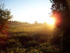 Picture for song 'Finding Daylight' by artist 'Dan Pharoah'