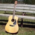 Picture for song 'I'll Buy Him A Beer' by artist 'Dan Pharoah'