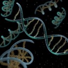 Picture for song 'Prologue to Life | Free DL' by artist 'Da Supplier'