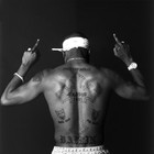 Picture for song 'irrelevant.MP3 tagless lease $19.95' by artist 'db koopa'