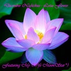 Picture for song 'Lotus Flower' by artist 'December Nightskies'
