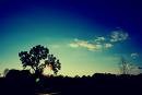 Picture for song 'the end of the summer' by artist 'dennis solinger'