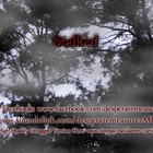 Picture for song 'Stalked Dark Piano Halloween Horror Beat Free Mp3' by artist 'Desperate Measurez (MD)'