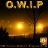 Picture for song 'O.W.I.P 12' by artist 'DiD'