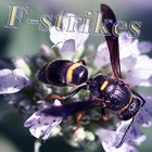 Picture for song 'Digitaler - F-Strikes' by artist 'Digitaler'