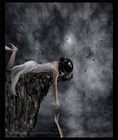 Picture for song 'The man, The Lover, The Clif (Jump).mp3' by artist 'DJ Ano'