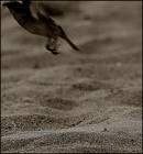 Picture for song 'AS I HELD HER DOWN.mp3' by artist 'djBartlett'