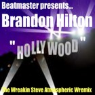 Picture for song 'Brandon Hilton - Hollywood Wreakin Steve's Atmosph' by artist 'DJ Beatmaster'