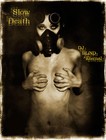 Picture for song 'Slow Death' by artist 'DJ BLiND-Eternal'