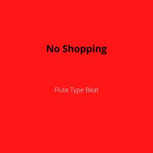 Picture for song 'No Shopping - Flute Type Beat' by artist 'DJ Mauri B'