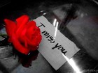 cover pic