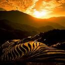 Picture for song 'Bewundernswert' by artist 'Branko Stojanovski'