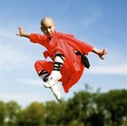 Picture for song 'The Dance of the Shaolin' by artist 'DJ Sireel One'