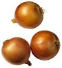 Picture for song 'Brown Onions' by artist 'DogNuts'
