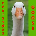 Picture for song 'The Christmas Goose' by artist 'Dollar Bill and the Unmentionables'
