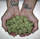 Picture for song 'Good Vibes *SUMMERTIME*' by artist 'DonnySBeatz'