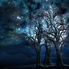 Picture for song 'Mystery' by artist 'Dontee Evans'